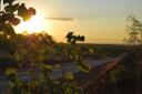 Sunset Outback 2