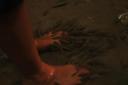 Hanneke's fishfootmassage!