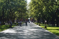 DSC07037