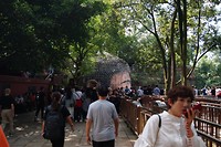 The Great buddha