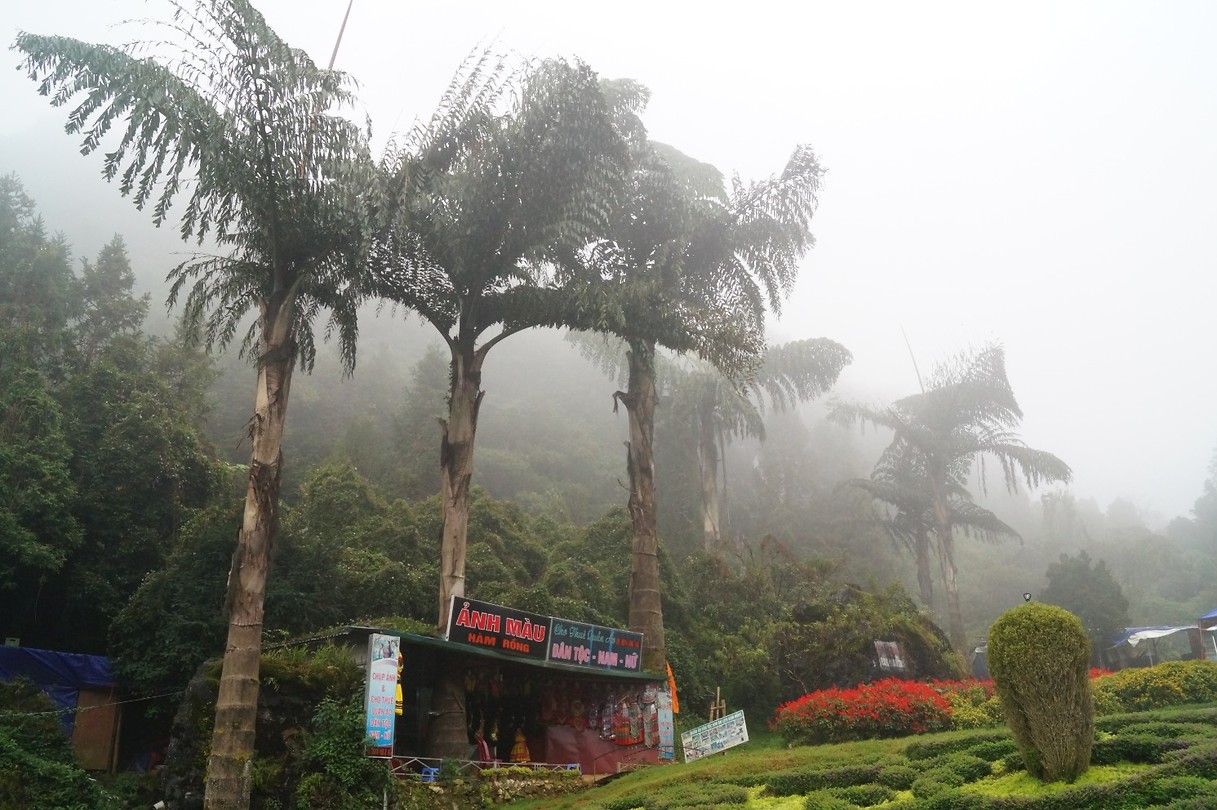 Sapa