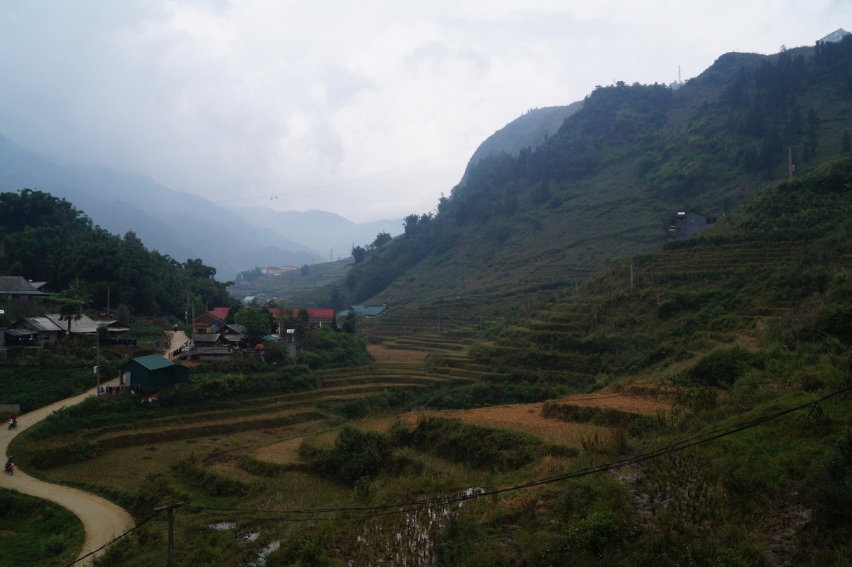 Sapa