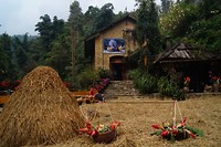 Sapa