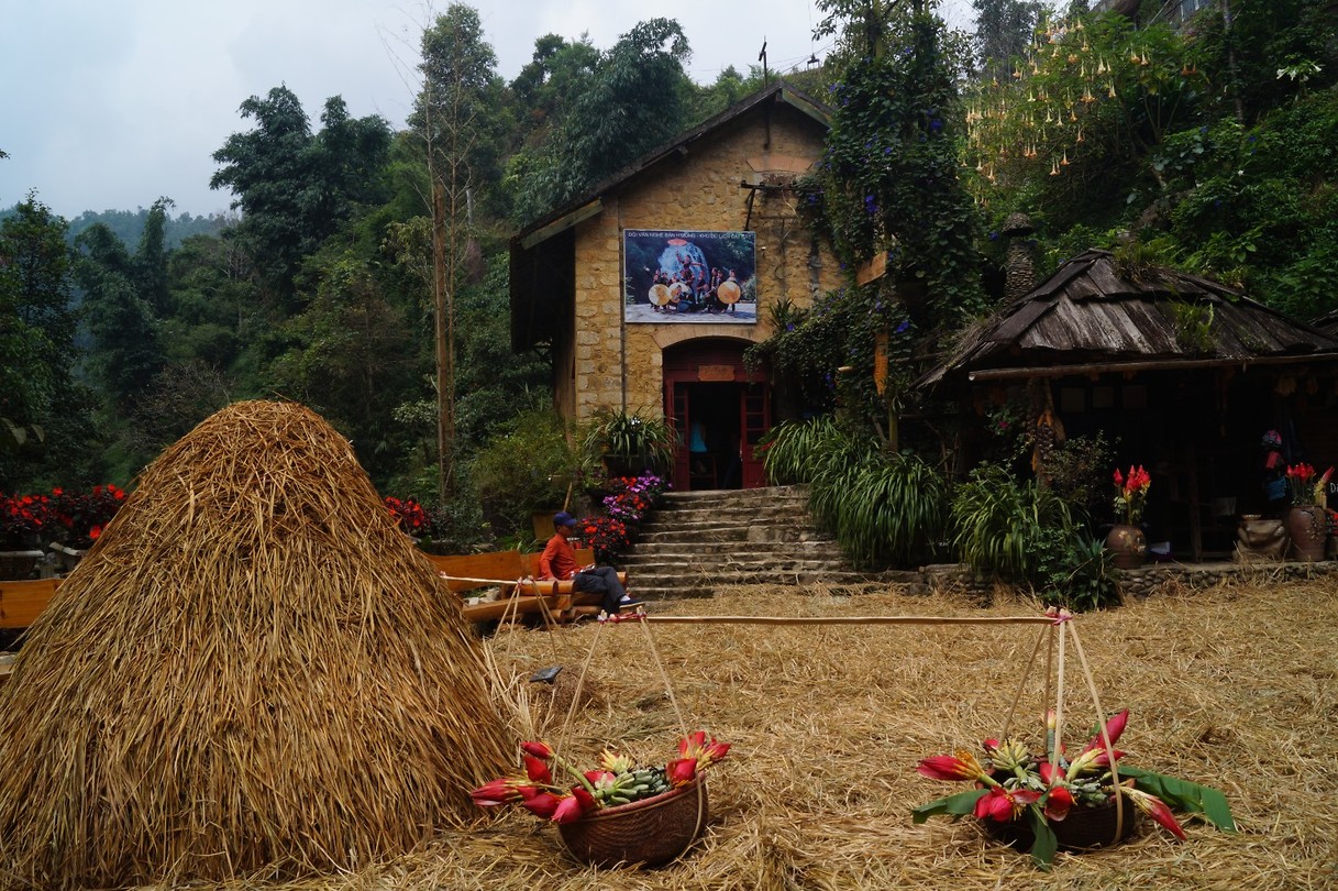 Sapa