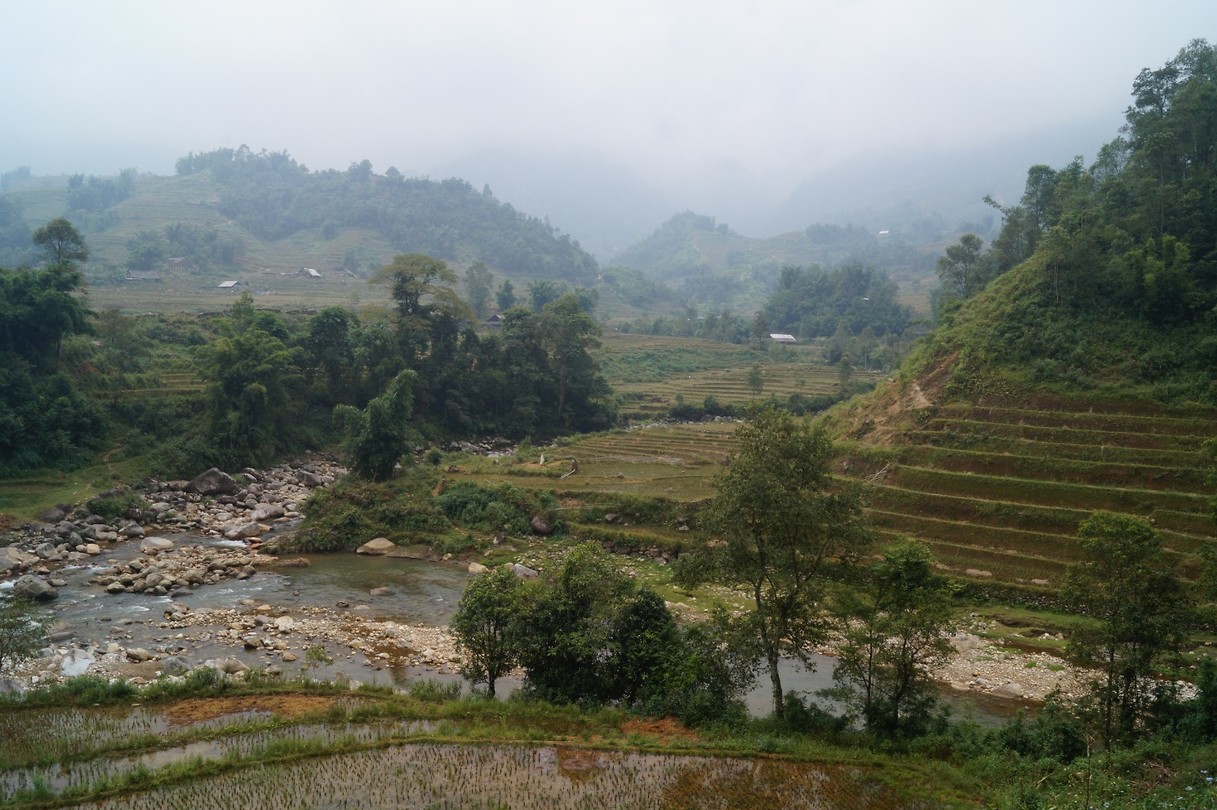 Sapa