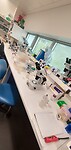 In het lab