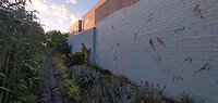 Bird lane