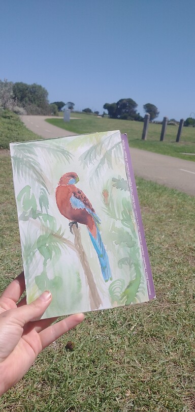 Crimson rosella