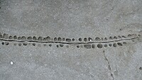 DSCF9623