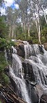 Toorongo falls