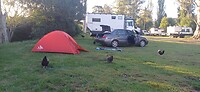 genoa camping situatie