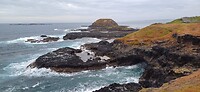 Blowhole