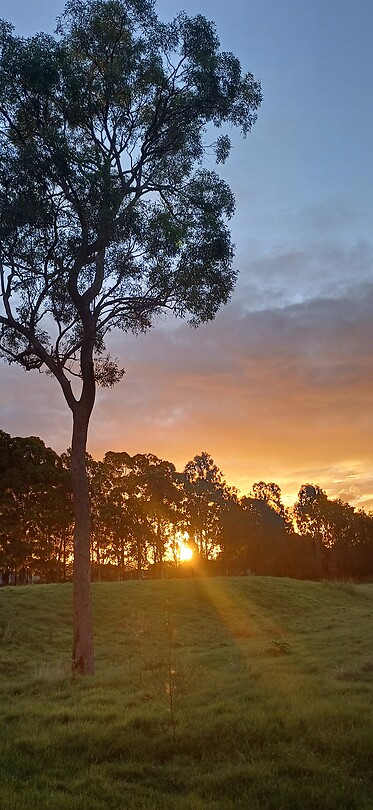 Arundel sunset