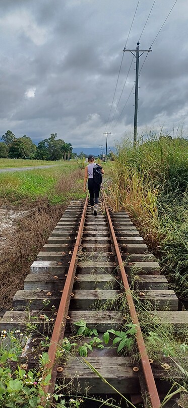 Fleur op het spoor
