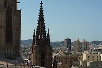 DSC02825