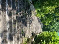 IMG_7920