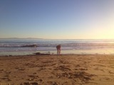 Peter on the Beach 2