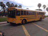 A school bus!!!