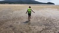 VID-20190103-WA0008