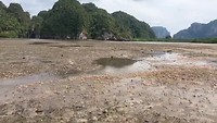 VID-20190103-WA0009