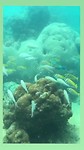VID-20190226-WA0021