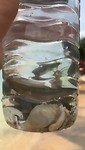 VID-20190226-WA0097