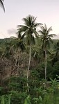 VID-20190226-WA0091