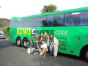 Kiwibus