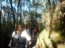 Abel Tasman National Park