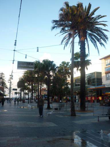 Manly Beach Sydney