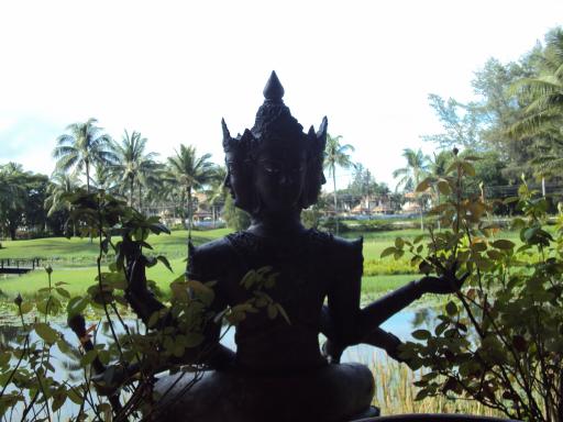 DSC01788