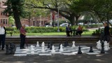 zalig toch? in het park...
