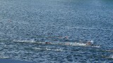 triathlon jongeren
