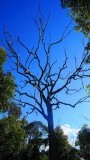 DSC05064