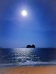Onze full moon party