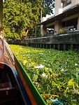 Hier varen we door de zooi