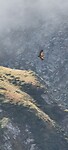 Gieren boven de Tourmalet