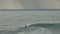 Salto