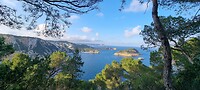 Cap Negre