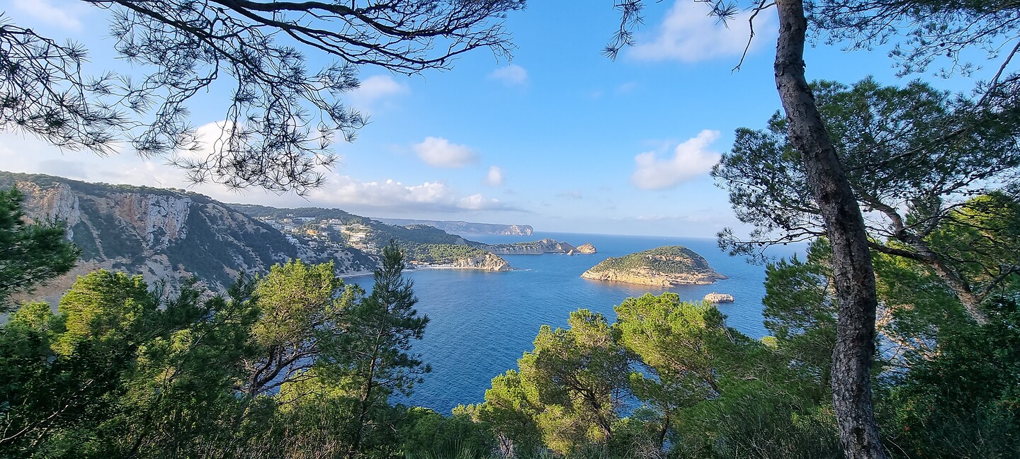 Cap Negre