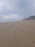 IMG_20230121_070934_MP