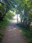 IMG_20230122_223127_MP