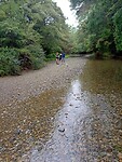IMG_20230129_021149_MP