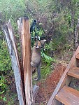 IMG_20230128_231503_MP