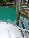 IMG_20230129_011443_MP