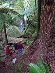 IMG_20230129_004236_MP