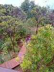 IMG_20230128_231718_MP