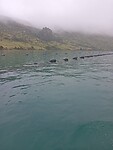 IMG_20230128_222149_MP