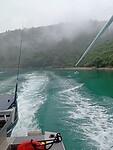 IMG_20230128_230203_MP