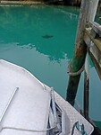 IMG_20230129_011437_MP